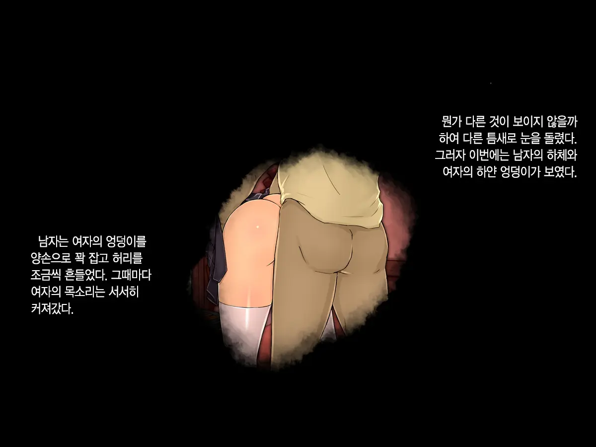 Ojou-Sama Wa Nozoki Ga Osuki ~Shikan Gakkou Inkouroku~ | 아가씨는 엿보기를 좋아해♡ - 사관학교 음행록 -